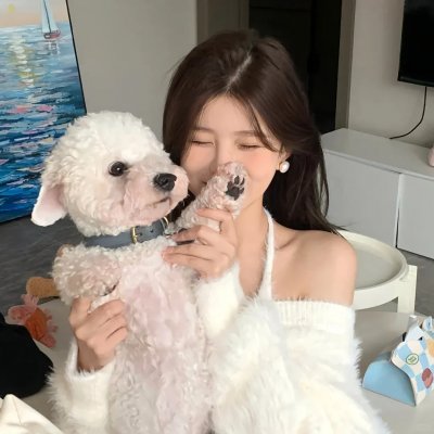 爱情像猫一样