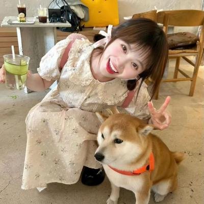 安吉里卡奇遇